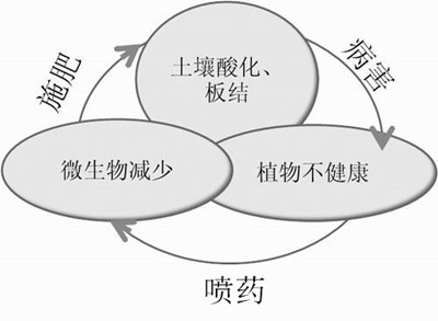 化肥不等于科學(xué)，請(qǐng)客觀評(píng)判！